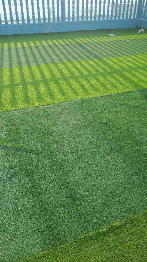 岳陽市凱旋城國際幼兒園足球場