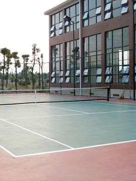 望城縣德逸山莊網(wǎng)球場